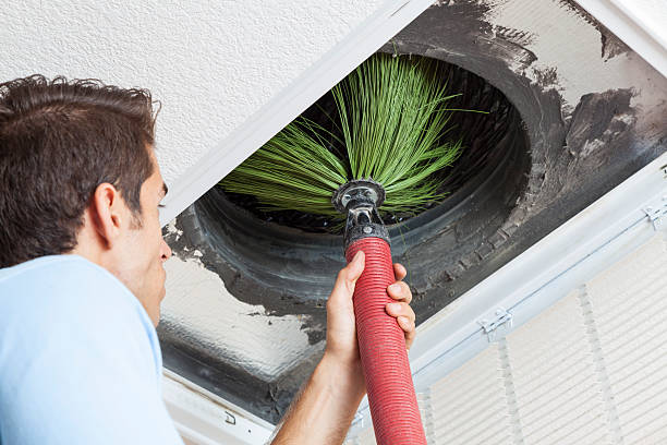 Air Duct Mold Removal in Spout Springs, NC